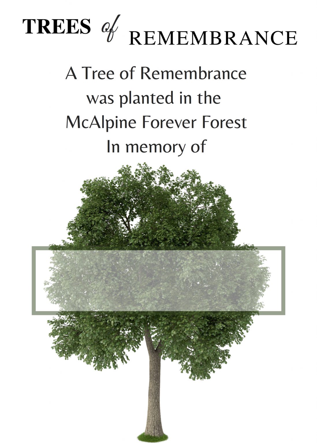 Purchase a Tree of Remembrance Trees Of Remembrance